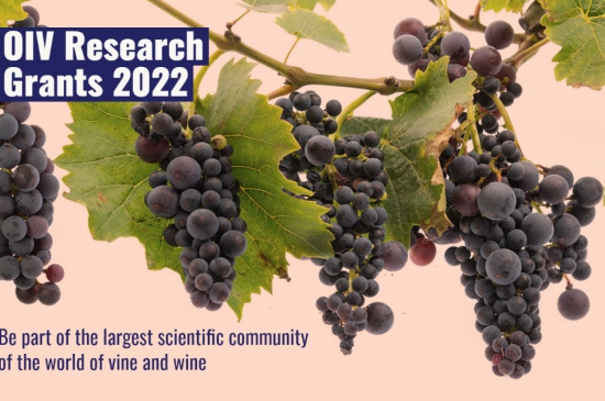 OIV Research Grants 2022 banner 