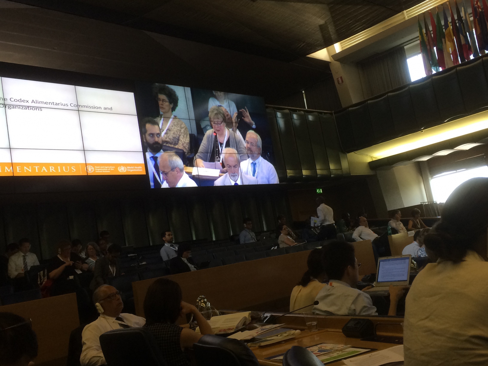 OIV participates at the 39th session of the Codex Alimentarius Commission