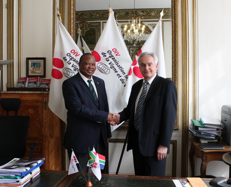 South Africa: Ambassador Molekane visits the OIV