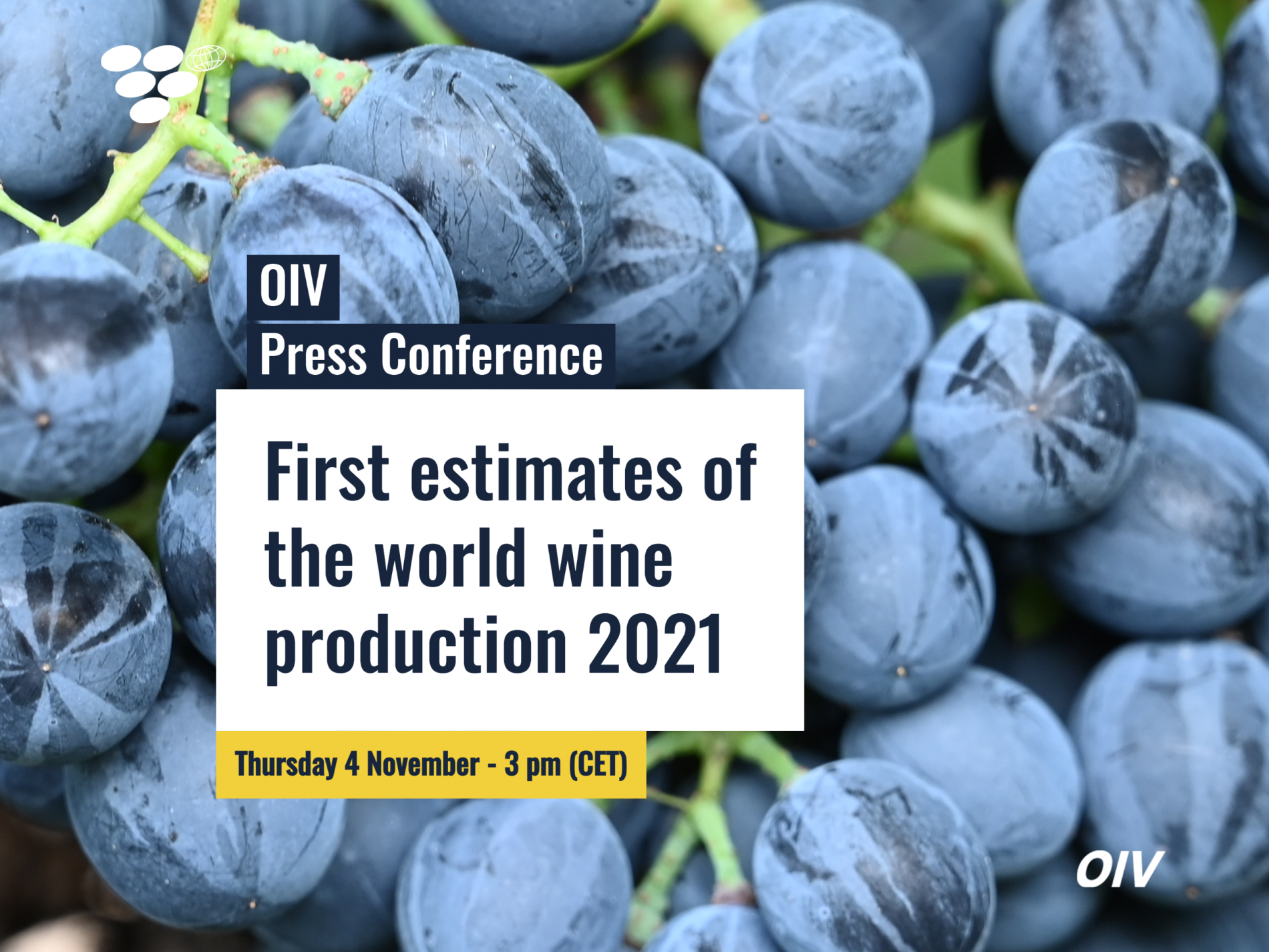 OIV Web Press Conference. November 2021