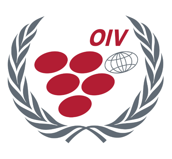 Winners of the 2016 OIV awards