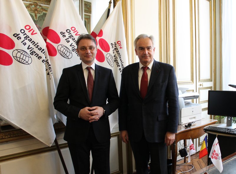 Visit of the new Romanian Ambassador to France