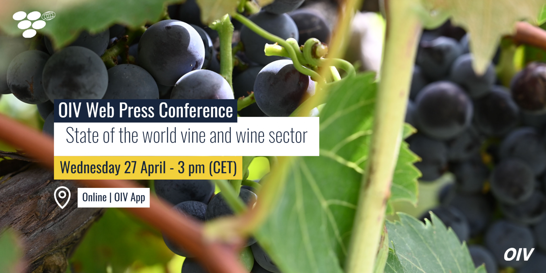 Change of date: OIV Web press conference. State of the world vine and wine sector 