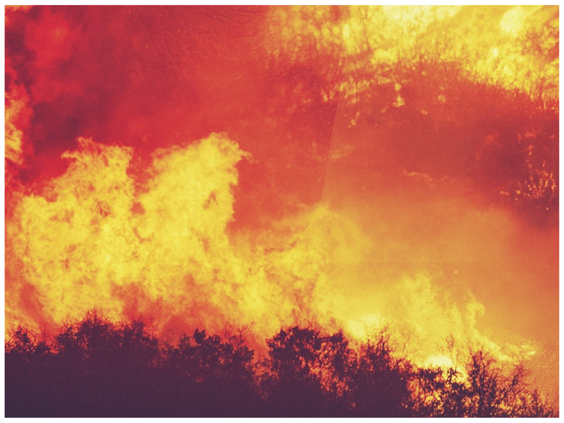 Wildfires are ravaging vineyards