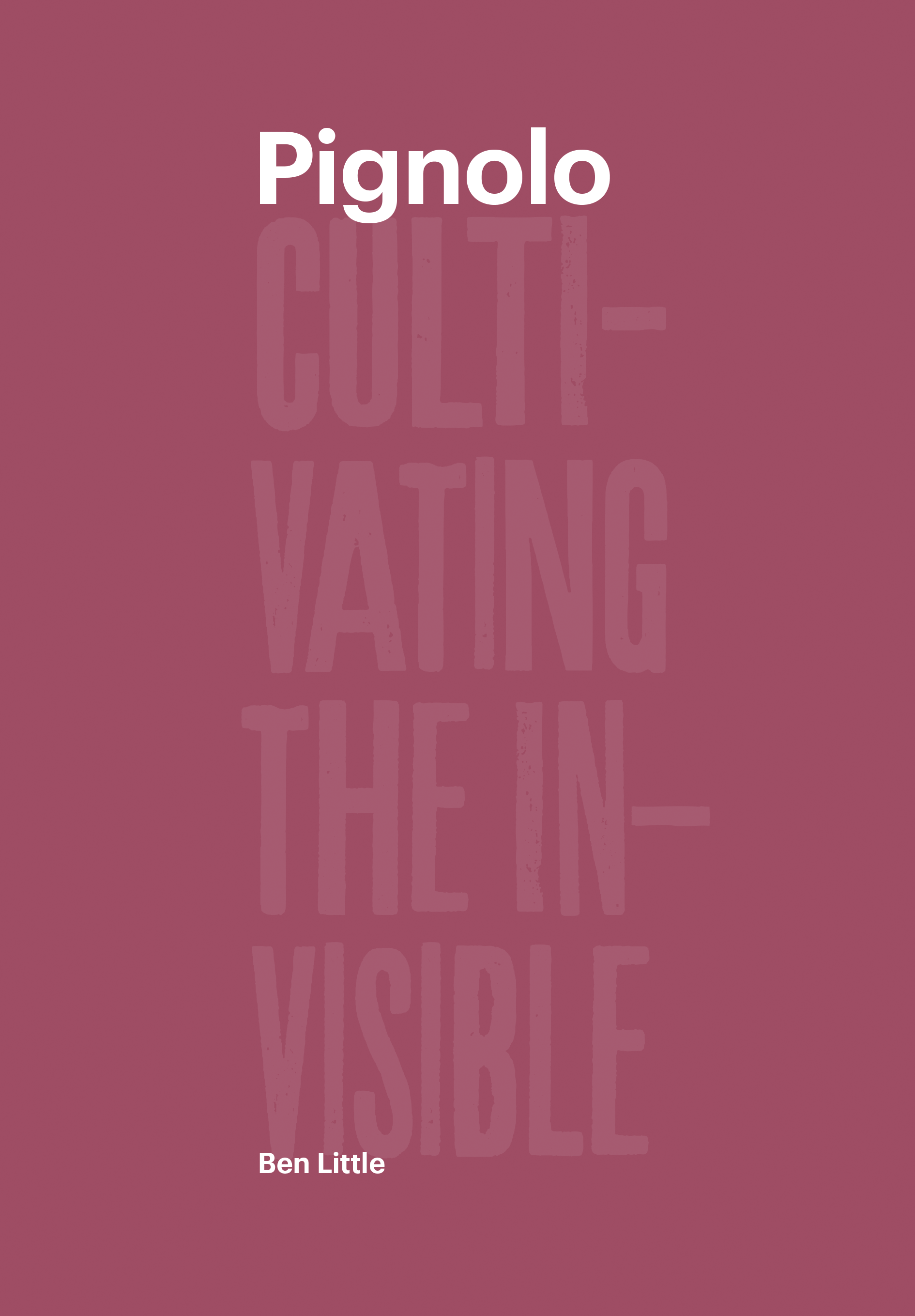 Pignolo, cultivating the Invisible
