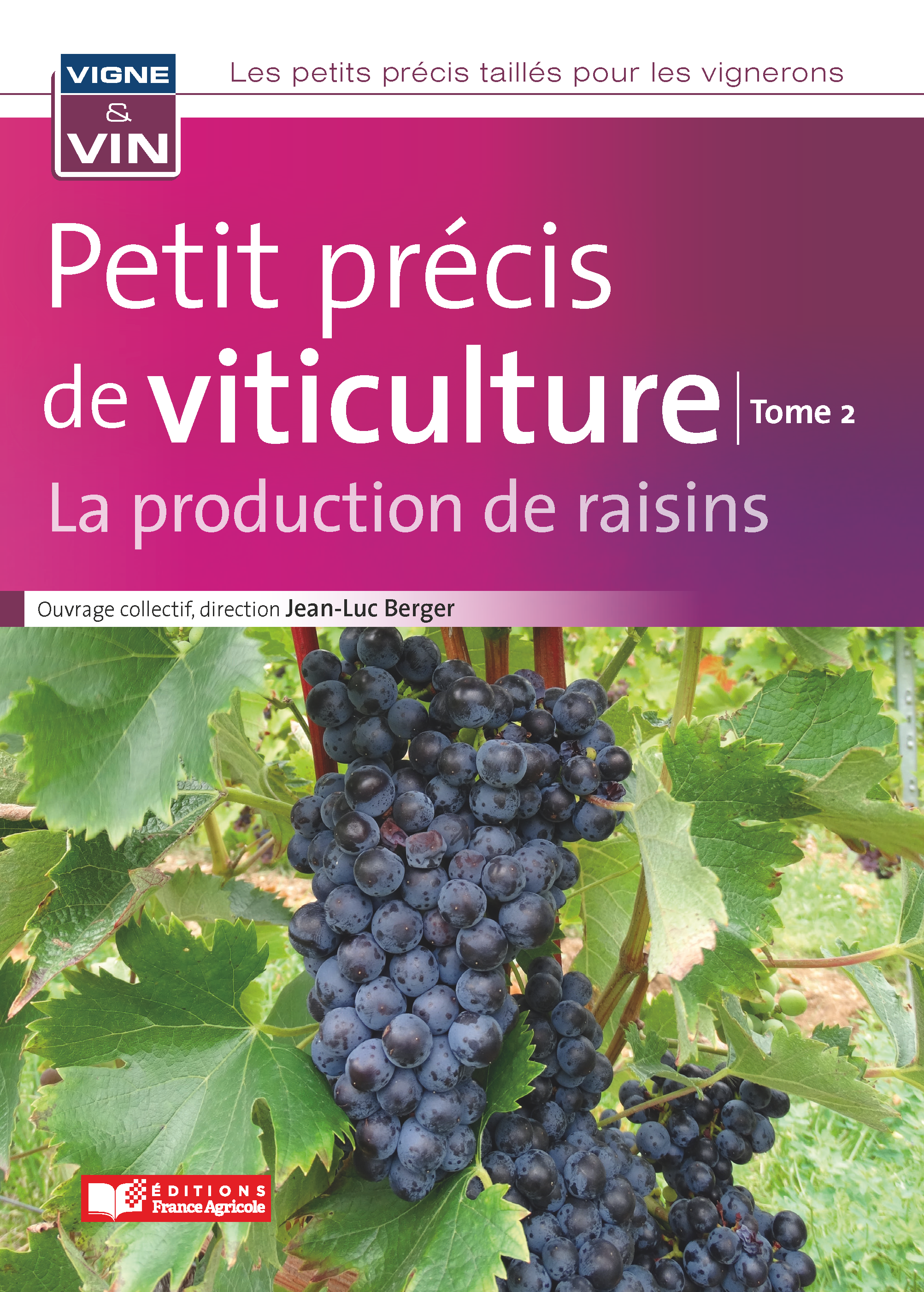 Petit précis de viticulture, tome 2 / La production de raisins