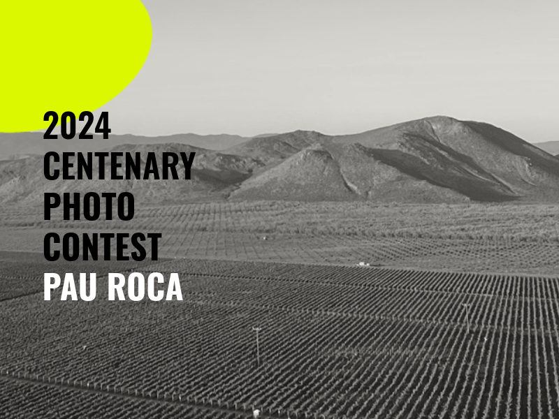 OIV Photo Contest – Pau Roca
