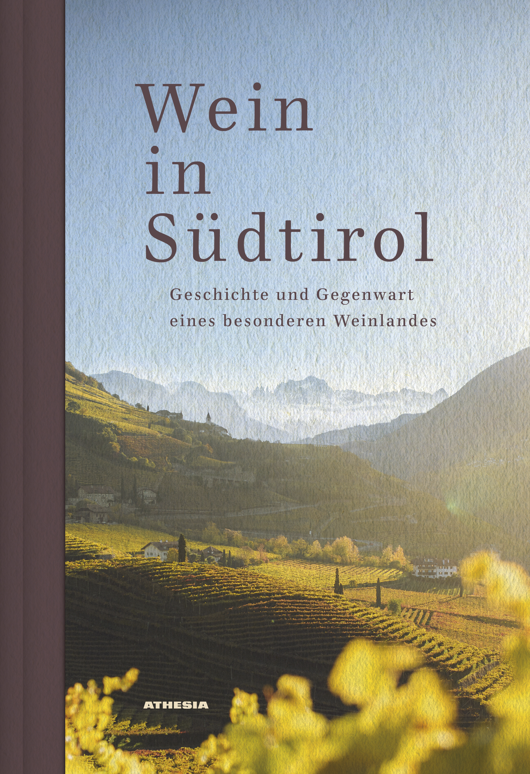 cover Wein in Südtirol. Geschichte und Gegenwart eines besonderen Weinlandes