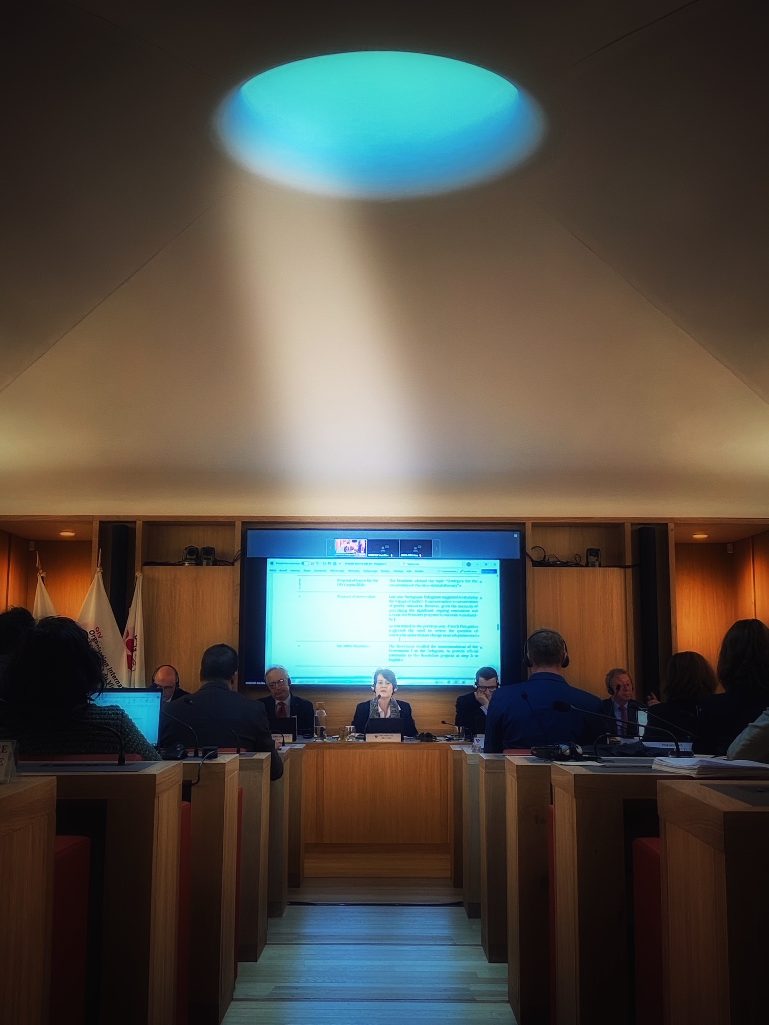 Auditorium Hôtel Bouchu dit d'Esterno - Dijon - 