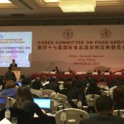 Discussion on the identity of wine within the Codex Alimentarius
