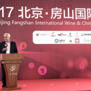 Wine and gastronomy Wine and gastronomy