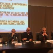 The OIV participates in the international conference organised by AREV The OIV participates in the international conference organised by AREV