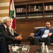 Lebanon’s vitivinicultural sector in the spotlight Lebanon’s vitivinicultural sector in the spotlight