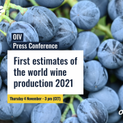 OIV Web Press Conference. November 2021 OIV Web Press Conference. November 2021