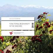Functional biodiversity in the Vineyard Functional biodiversity in the Vineyard