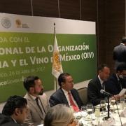 The Mexican wine sector takes hold of its destiny with great ambitions