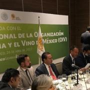 The Mexican wine sector takes hold of its destiny with great ambitions The Mexican wine sector takes hold of its destiny with great ambitions