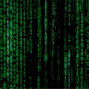 OIV digital transformation: call for tenders OIV digital transformation: call for tenders