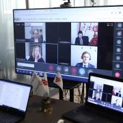 OIV virtual meetings: the outcome of a first achievement OIV virtual meetings: the outcome of a first achievement