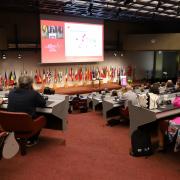 OIV 2019 report on the world vitivinicultural situation OIV 2019 report on the world vitivinicultural situation
