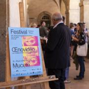 Oenovidéo 2019: the relationship between men, nature and wine Oenovidéo 2019: the relationship between men, nature and wine