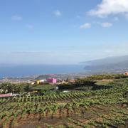 6th Int. Congress on Mountain and Steep Slope Viticulture in La Laguna 6th Int. Congress on Mountain and Steep Slope Viticulture in La Laguna