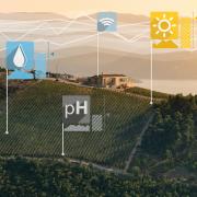 Digitalisation, the future of the vine and wine sector Digitalisation, the future of the vine and wine sector
