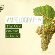 The OIV works to disseminate ampelography The OIV works to disseminate ampelography