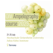 OIV International Ampelography Course 2025 poster