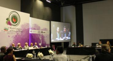 Summary of resolutions adopted in 2017 by the 15th OIV General Assembly 