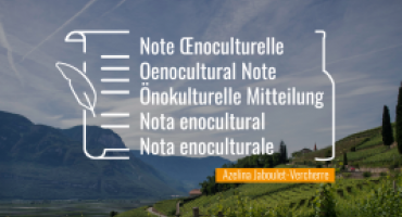 Oenocultural Note